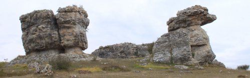 Formación Las Tuerces Palencia