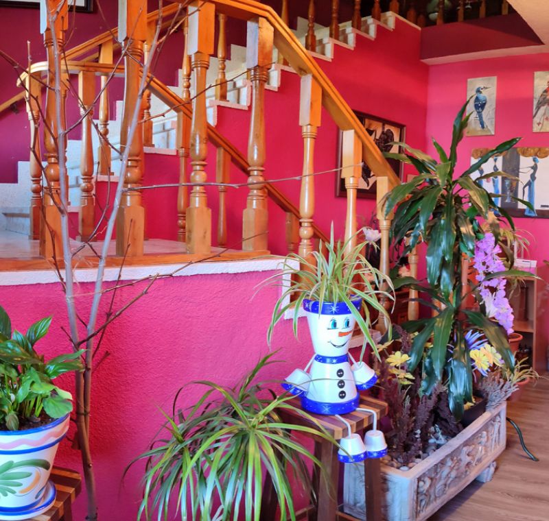 Escalera Hostal La Llave en Palencia