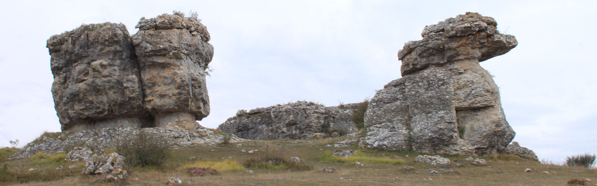 Formación Las Tuerces Palencia